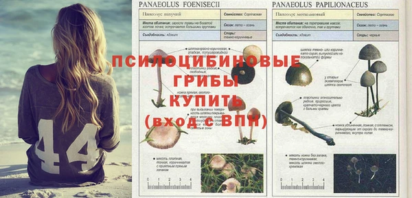 стаф Краснотурьинск