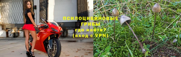 метадон Краснослободск
