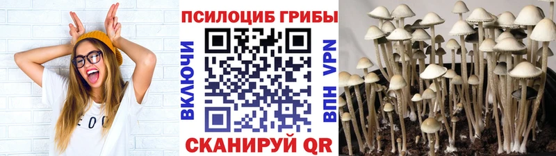 цена   Лобня  гидра   Псилоцибиновые грибы мухоморы 